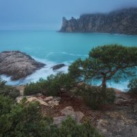 Когда Новый Свет есть, а света нет :: Дмитрий Шишкин