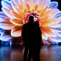 Зачарованные (1) :: Игорь Викторов