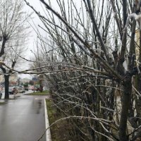 Апрель, ледяной дождь :: ura Зелев