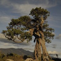 Провремя Грузия :: Иван К