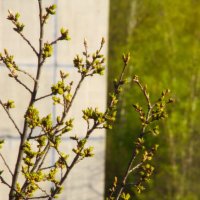 ... :: Юрий Куликов