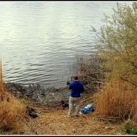 *** :: Aleksandr Gal