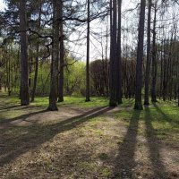 Апрельское :: Андрей Лукьянов