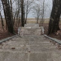 К реке :: Дмитрий И_