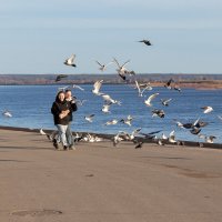 *** :: Андрей Дурапов