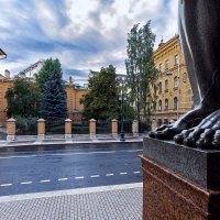 Ракурсы :: Евгений 