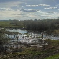 *** :: РозаВетроф 