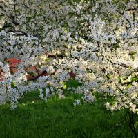 Апрель... :: Татьяна Львова