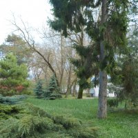 Пейзажи  Крыма :: Валентин Семчишин