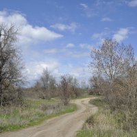 **** :: Виктор 