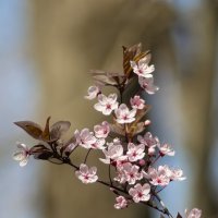 *** :: Александр. AVG100 ---