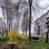 Весна на Брянщину. :: Ольга 