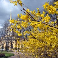 "В парке Чаир" :: AleksSPb Лесниченко