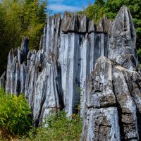 Шэньчжэнь :: Георгий А