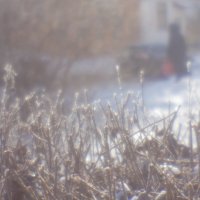 Моноклёвая картинка :: Александр Лисовский