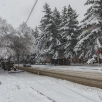 Апрельская шутка :: Виктор Иванович Чернюк