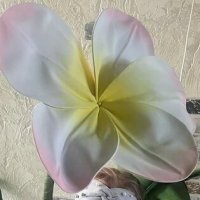 Марьянка :: Андрей Хлопонин