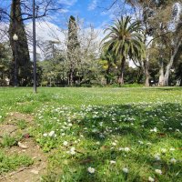 Весна, похожая на лето :: Фотогруппа Весна