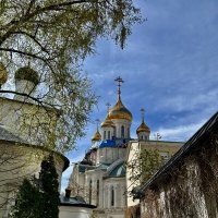 Сретенский монастырь :: Натали 