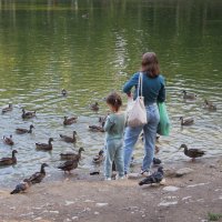 В Харитоновском парке :: Елена Шаламова