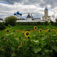Старый  Серпухов :: Владимир Гришин