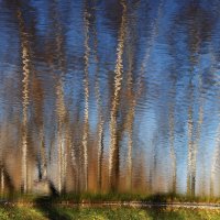 /// :: Виктор Никитенко