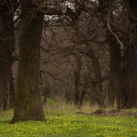 *** :: Яна Горбунова