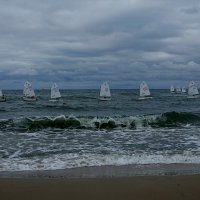Балтийская регата :: Виктор Савельев