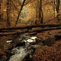 Переправа :: Виктор Савельев