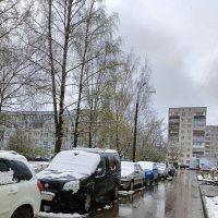 прочее :: Владимир 