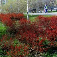 .. апрельским днём... :: galalog galalog