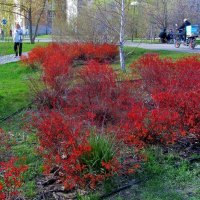 .. апрельским днём... :: galalog galalog