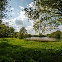 Майским днём... :: Николай Гирш