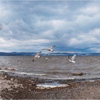 **** :: Алексей Мезенцев