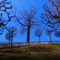 *** :: Сергей Григорьев