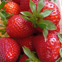 Клубника :: Галина Бобкина