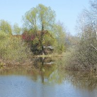 Природа просыпается :: Галина Нестратова