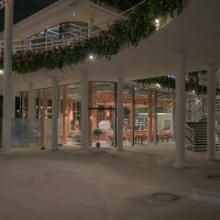 Новострой на Пушкинской набережной :: Yevgeniy Malakhov