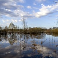 Пойма Клязьмы под водой :: Сергей Цветков