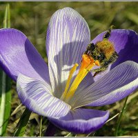 Пошла работа :: Aleksandr Gal