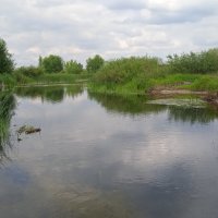 Усманка :: Елена Шаламова