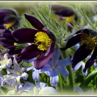 Сон трав :: Aleksandr Gal