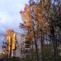 Весенний вечер :: Сергей Кочнев