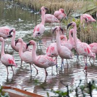 лейпциг2026 :: Алексей Короткевич