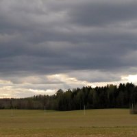 Апрельские виды на поля Беларуси... :: Татьяна Гнездилова