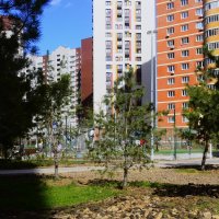 Солнечный апрель. :: Василий Палий