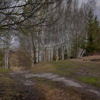 "Весна на околице деревни. Мальчик"© :: Владимир Макаров