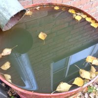 Осеннее отражение :: Дмитрий П