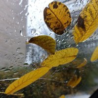 Осень Осень :: Дмитрий П