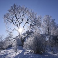 Зимний полдень. :: Vladimir 